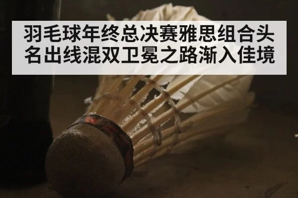 羽毛球年终总决赛雅思组合头名出线混双卫冕之路渐入佳境